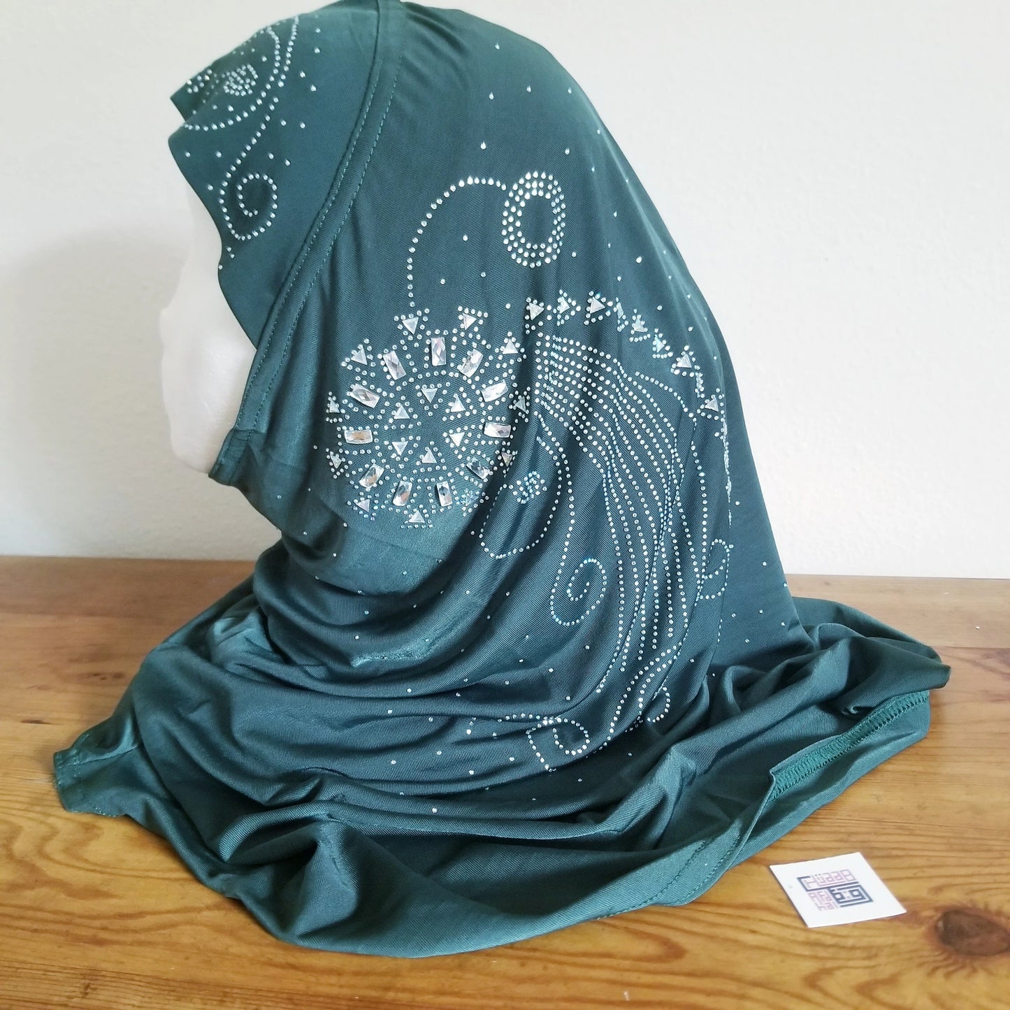 Women's embellished 1 piece amira